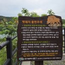 봉무공원 만보산책로 | 봉무공원 만보길 산책로 주말 일상