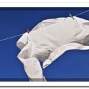 가도세탁 이미지