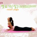 요가 B Daum카페