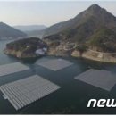 세종 태양광발전소 이미지