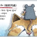 묘서동처(猫鼠同處) 이미지