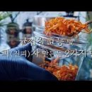 귤효능 부작용 귤껍질 귤피차 효능 핵심 정리 이미지