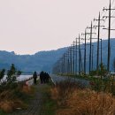 남파랑길 72코스(고흥)