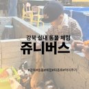 강북오리박사 | [강북 쥬니버스] 아이랑 갈만한 서울 동물 체험 카페 쥬니버스(악어 동물체험)