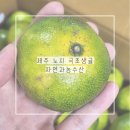 이슬농수산 | 제주 청귤 자연과농수산 노지 극조생귤 중대과 3kg 새콤달콤 올해 첫 귤 후기