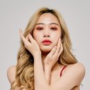 포토그라피코 이미지