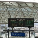 동성여관 | 하우스/ 묵호김밥/ 라운드어바웃/ 어달해변/ 대진해변/ 동성칼국수/ 어폰트/ 책방균형/ 중앙닭강정/ 묘한