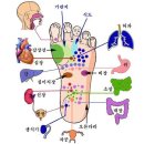 손과 발 지압 혈자리에 건강이 있다 이미지