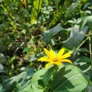 치상농장 이미지