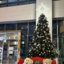 씨유 여수유탑마리나점 | 여수 유탑마리나호텔 애견동반 펫룸 솔직후기