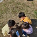 장안천가족휴게공원 이미지