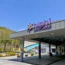 하이원리조트 워터파크 워터월드 후기 및 이용팁