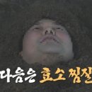 편백효소테라피
