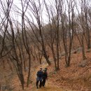 안곡초등학교 이미지