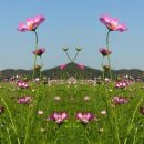 스킨파크 이미지