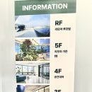 라또아플라워