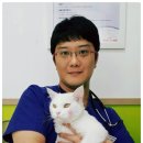 하노버종합동물병원 이미지