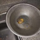 금당 2지구 이미지