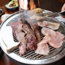 바른고기 이미지