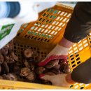 다대농장 이미지