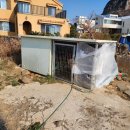 사계초등학교 이미지