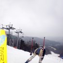 파인리조트 이미지