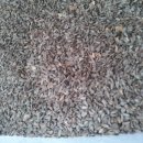 정금주유소 이미지