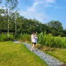 햄릿과 올리브 | 8개월아가와 함께 한 첫 여행 / 춘천 에어비앤비 햄릿과 올리브 1박 후기