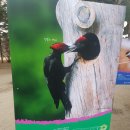 춘천소방서 강촌119안전센터 이미지