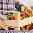 진안-진안-비상-19 이미지