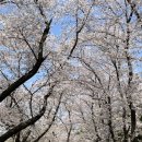 장군마을2길 이미지