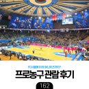 [육아] 삼성썬더스 vs. SK나이츠 경기 직관 후기: 추운 날 어린이랑 딱!