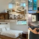 제주하뭄 이미지