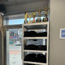 애프터짐피티 | 회기 헬스장, 경희대 프리미엄 피티샵 1:1 pt 후기 애프터짐 회기점