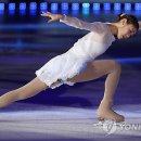 평화의 메세지 이미지