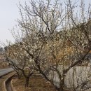 규암 부산서원 이미지