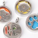 향기나는 강아지 이미지