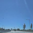 효천동물병원 | 광주대형택시 인천공항에서 광주광역시까지 리무진 콜밴 예약하기