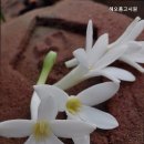 해오름독서실 | [청량리 고시원 고시텔 원룸텔 추천] 해오름고시원 해오름고시원의 아늑한 공간