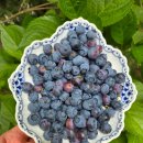 정위농장 이미지