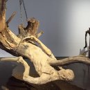 삶과 죽음 이미지