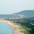 달모임 이미지