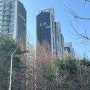 신나무실 신성 신안·쌍용·진흥 이미지