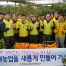 전남방역소득