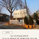 미니스톱 김포애기봉점 | 포포즈 반려동물 장례식장 김포점_루이의 보호자로서의 마지막 순간들