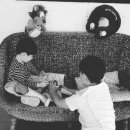 강아지트 이미지