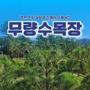 수동목장 이미지