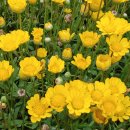 홍천중앙시장 이미지