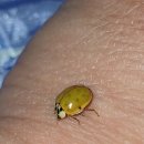 선돌 민박 이미지