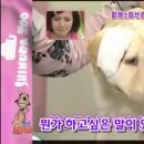 하이디